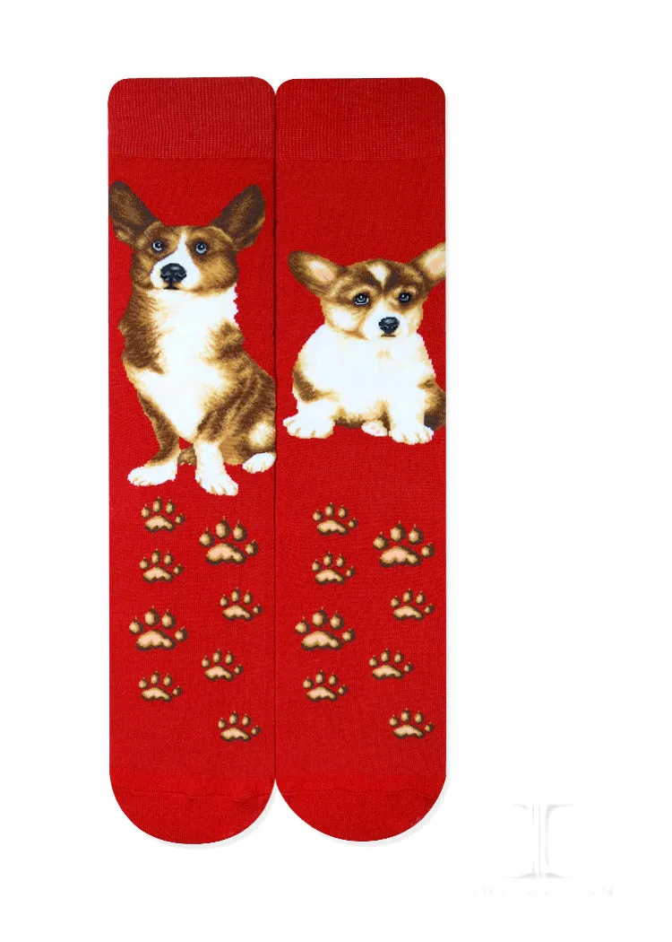 Dogs - Welsh Corgi Socks