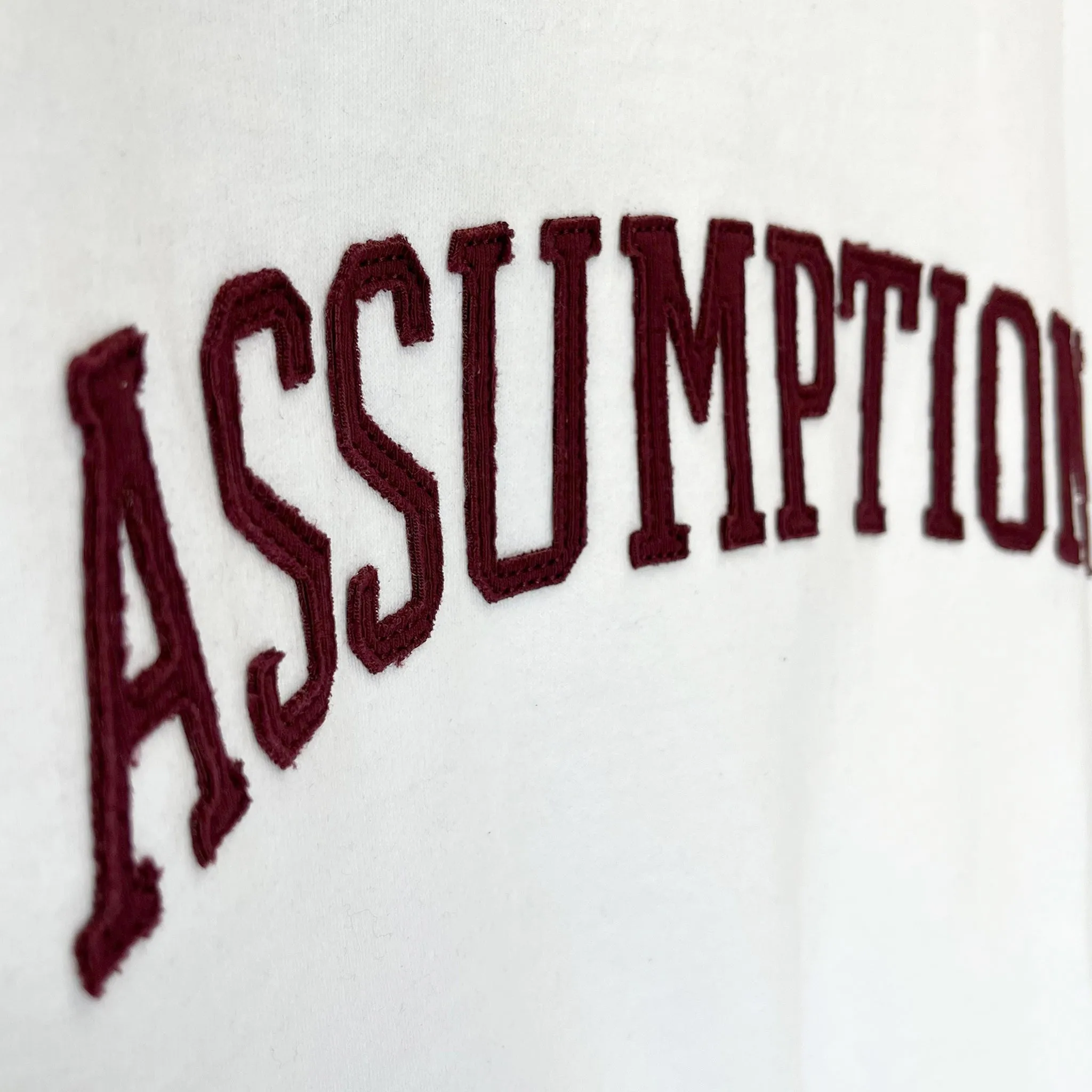 Sweatshirt - Crew Neck - White - Stitched Applique - Assumption